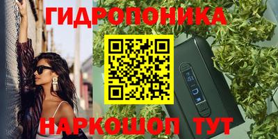 прущие крисы Заводоуковск