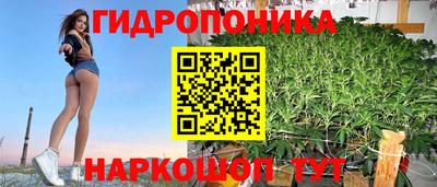 прущие крисы Заводоуковск