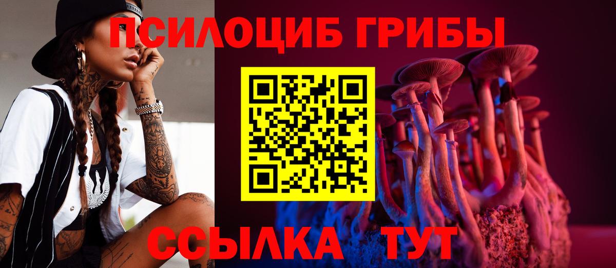 где купить   Псилоцибиновые грибы Psilocybine cubensis  Вход с VPN  Уфа 