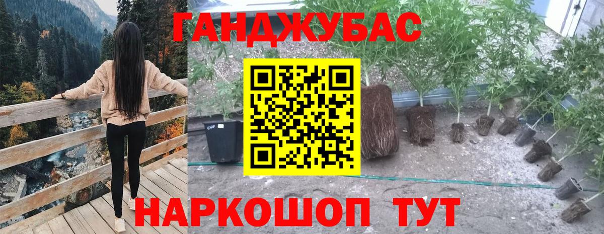 Шишки марихуана план  Вход с VPN  Марихуана Amnesia  Марихуана White Widow  Уфа 